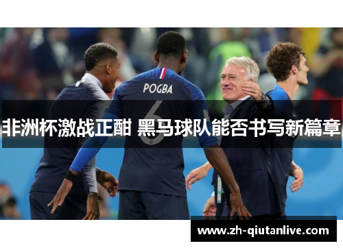 非洲杯激战正酣 黑马球队能否书写新篇章